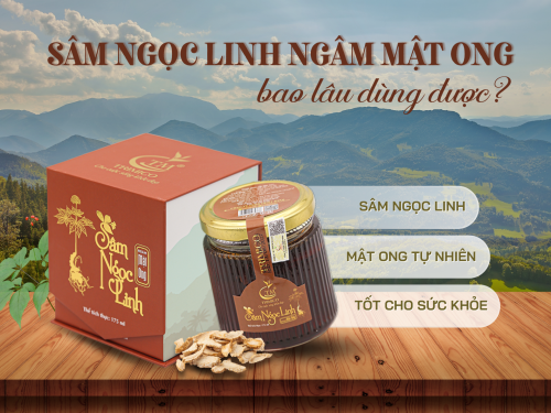 Sâm Ngọc Linh ngâm mật ong bao lâu dùng được?
